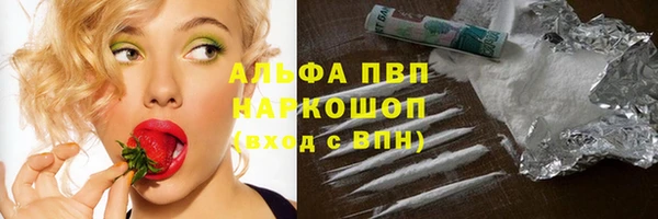 ECSTASY Алзамай