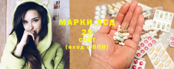 ECSTASY Алзамай