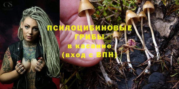 скорость Алексин