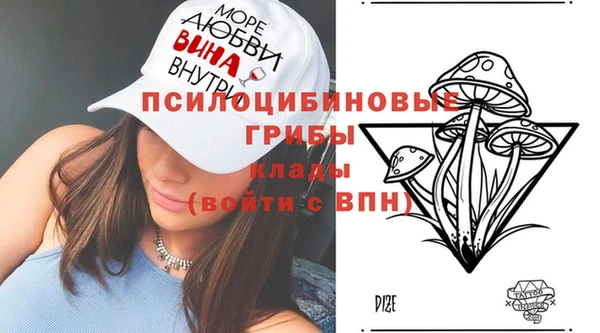 ECSTASY Алзамай