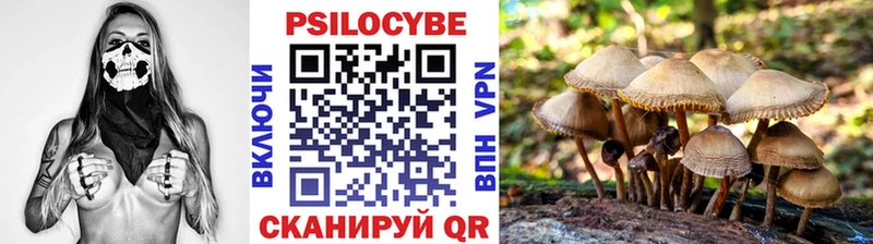 Галлюциногенные грибы Magic Shrooms Ясный